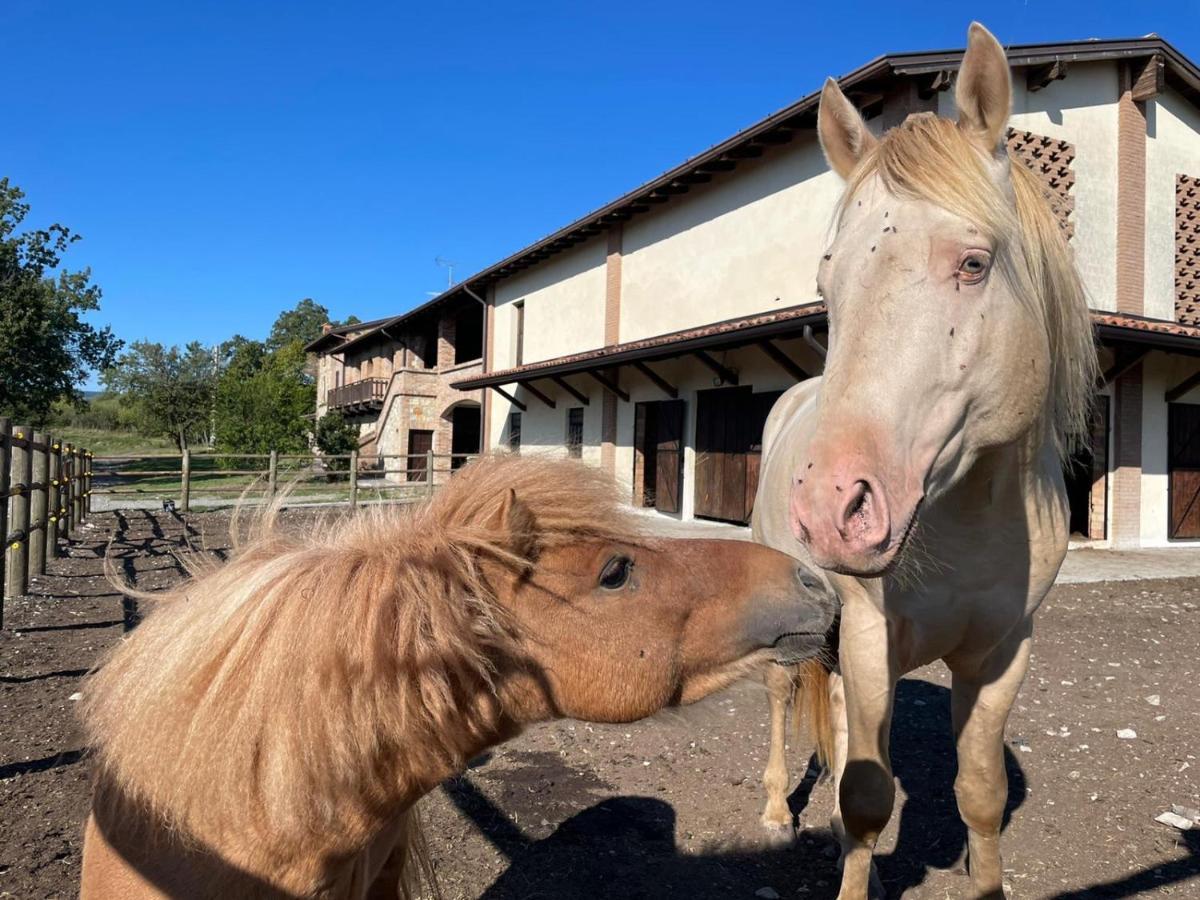 Agriturismo Cergallina Vernasca Bagian luar foto