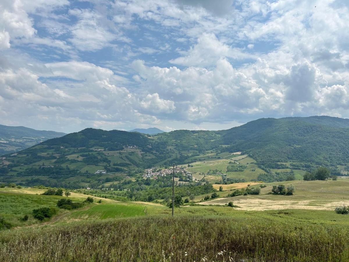 Agriturismo Cergallina Vernasca Bagian luar foto