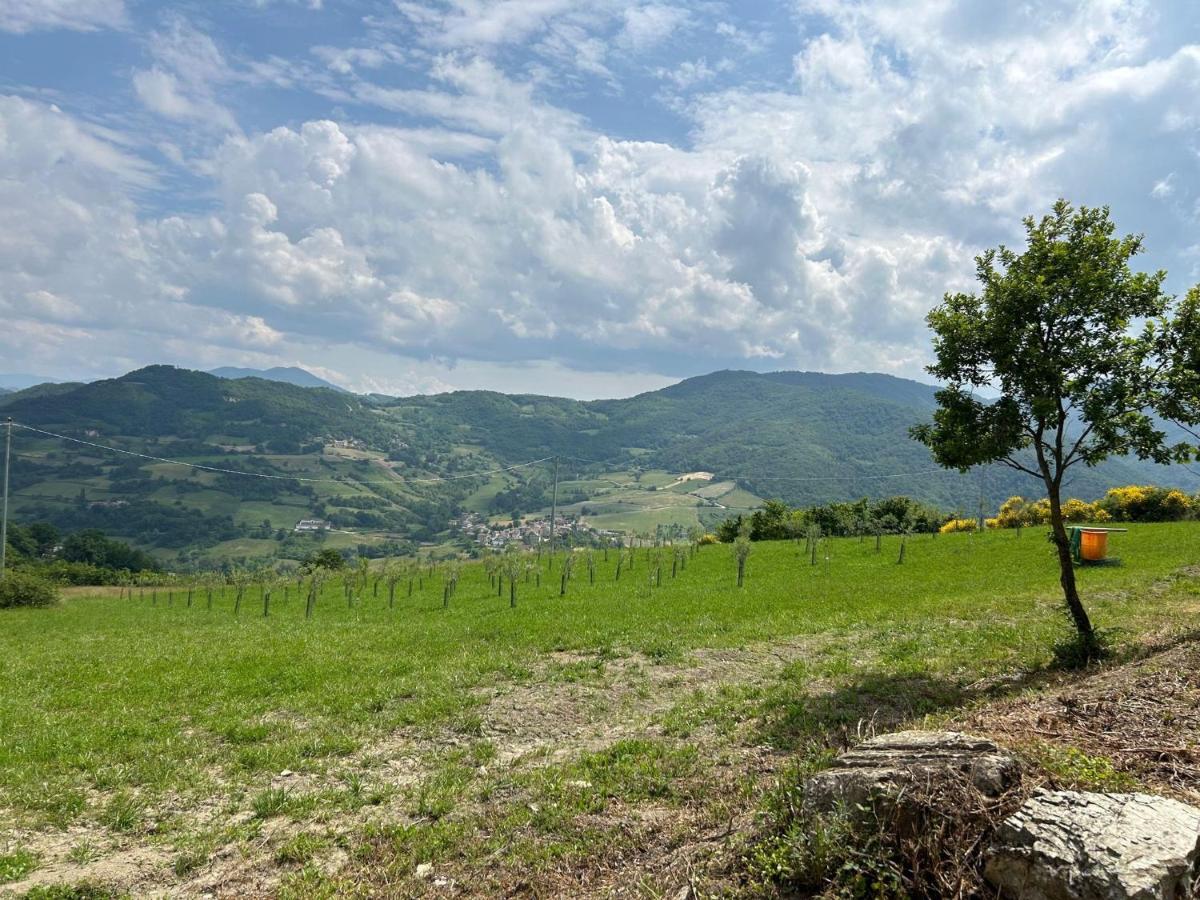 Agriturismo Cergallina Vernasca Bagian luar foto