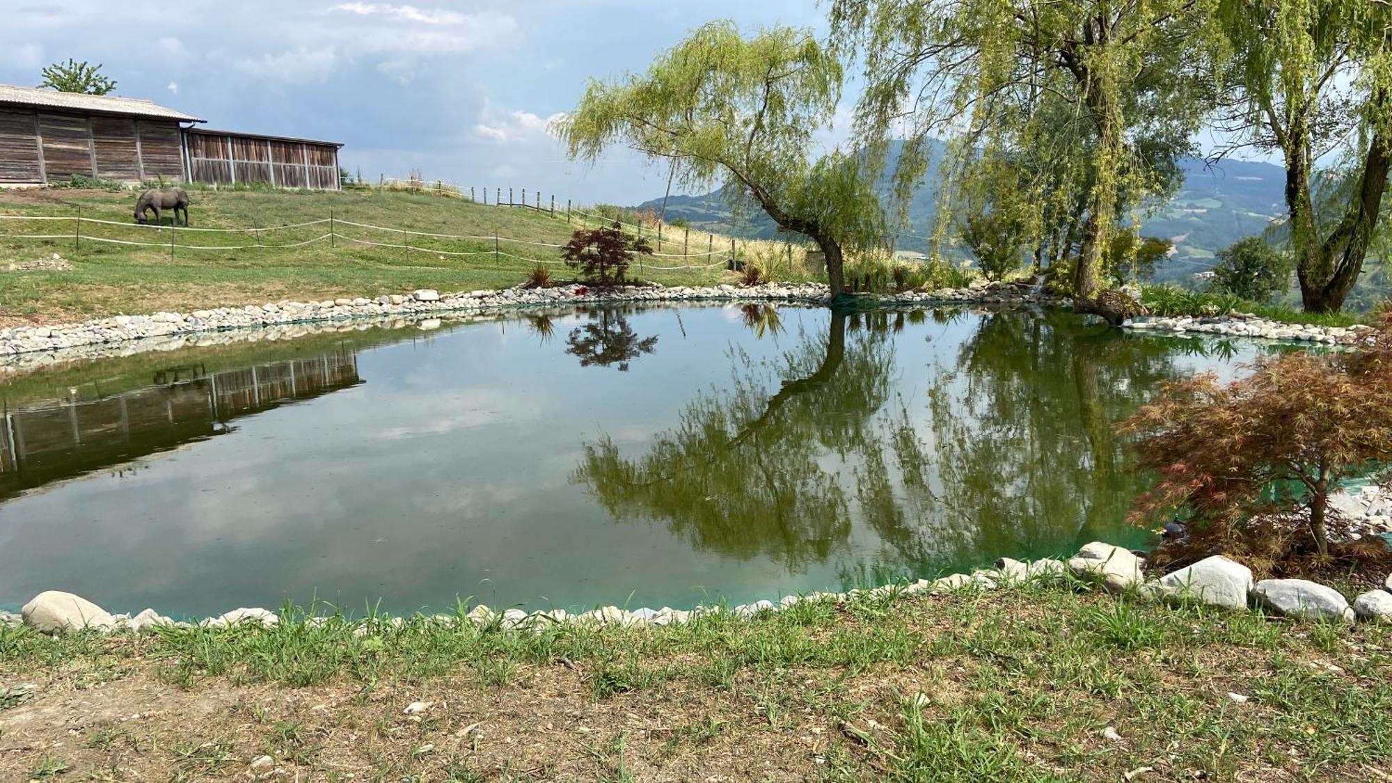 Agriturismo Cergallina Vernasca Bagian luar foto