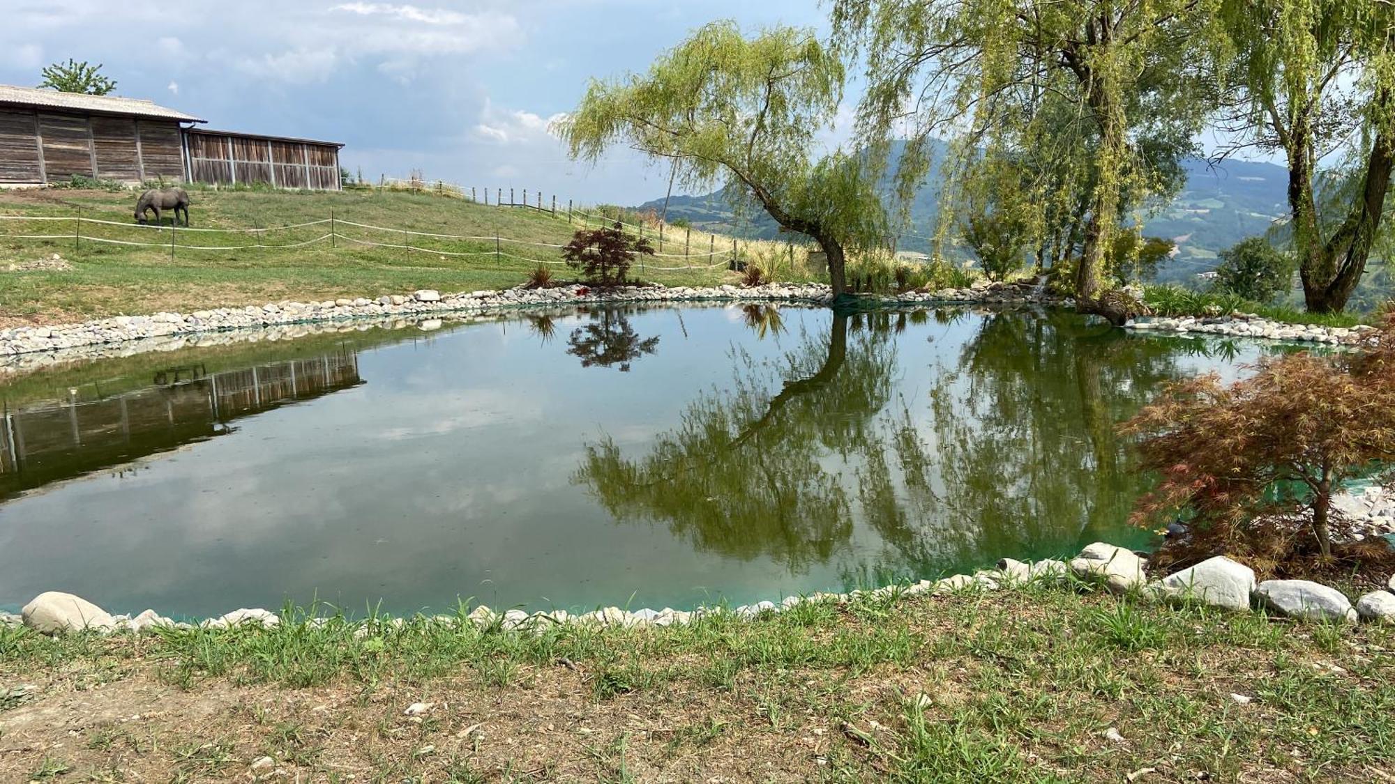 Agriturismo Cergallina Villa Vernasca Bagian luar foto