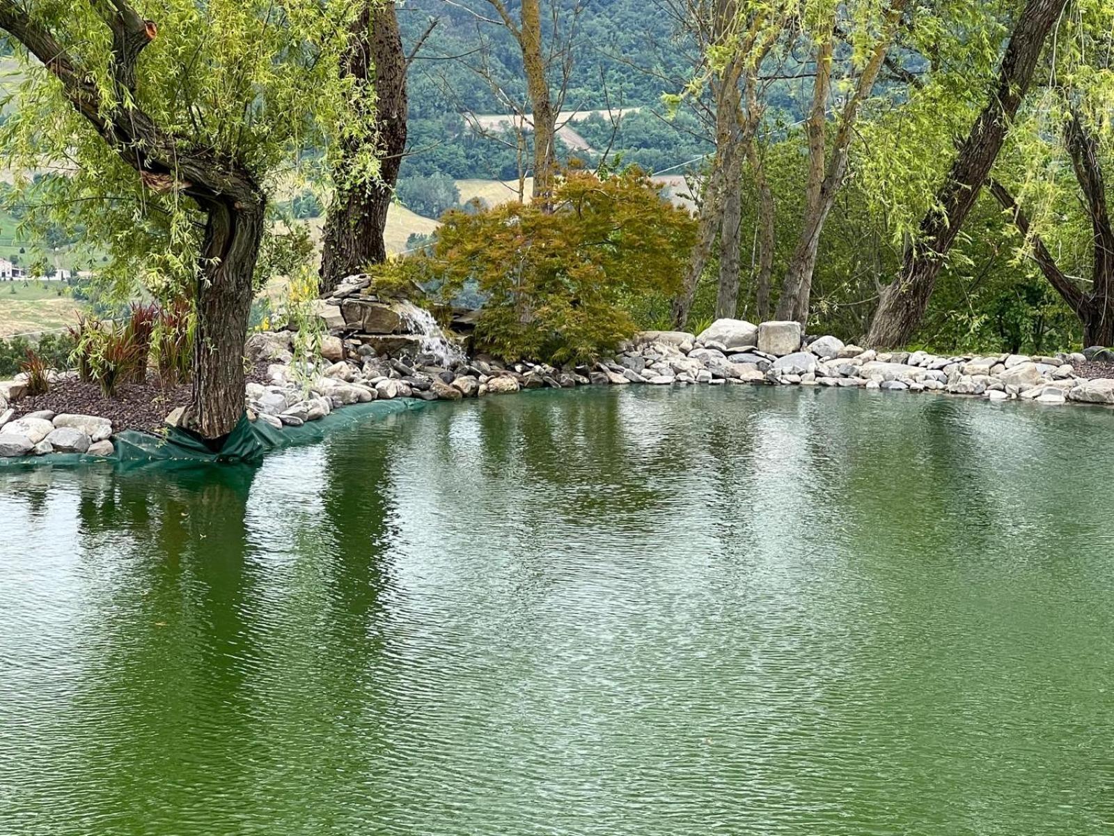 Agriturismo Cergallina Vernasca Bagian luar foto