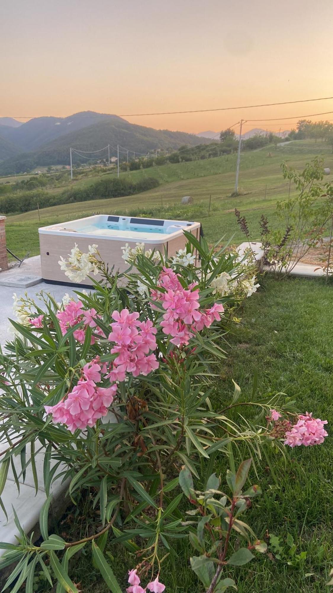 Agriturismo Cergallina Vernasca Bagian luar foto